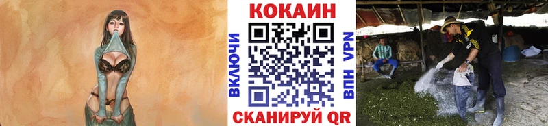 Кокаин Эквадор  где можно купить   Симферополь 