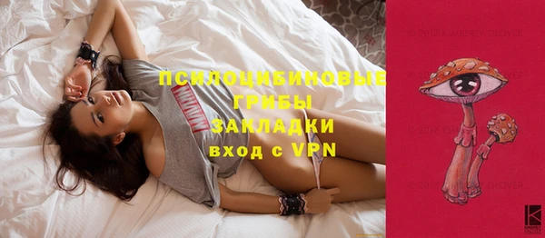 бошки Абаза