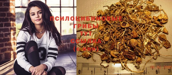 СК Абдулино
